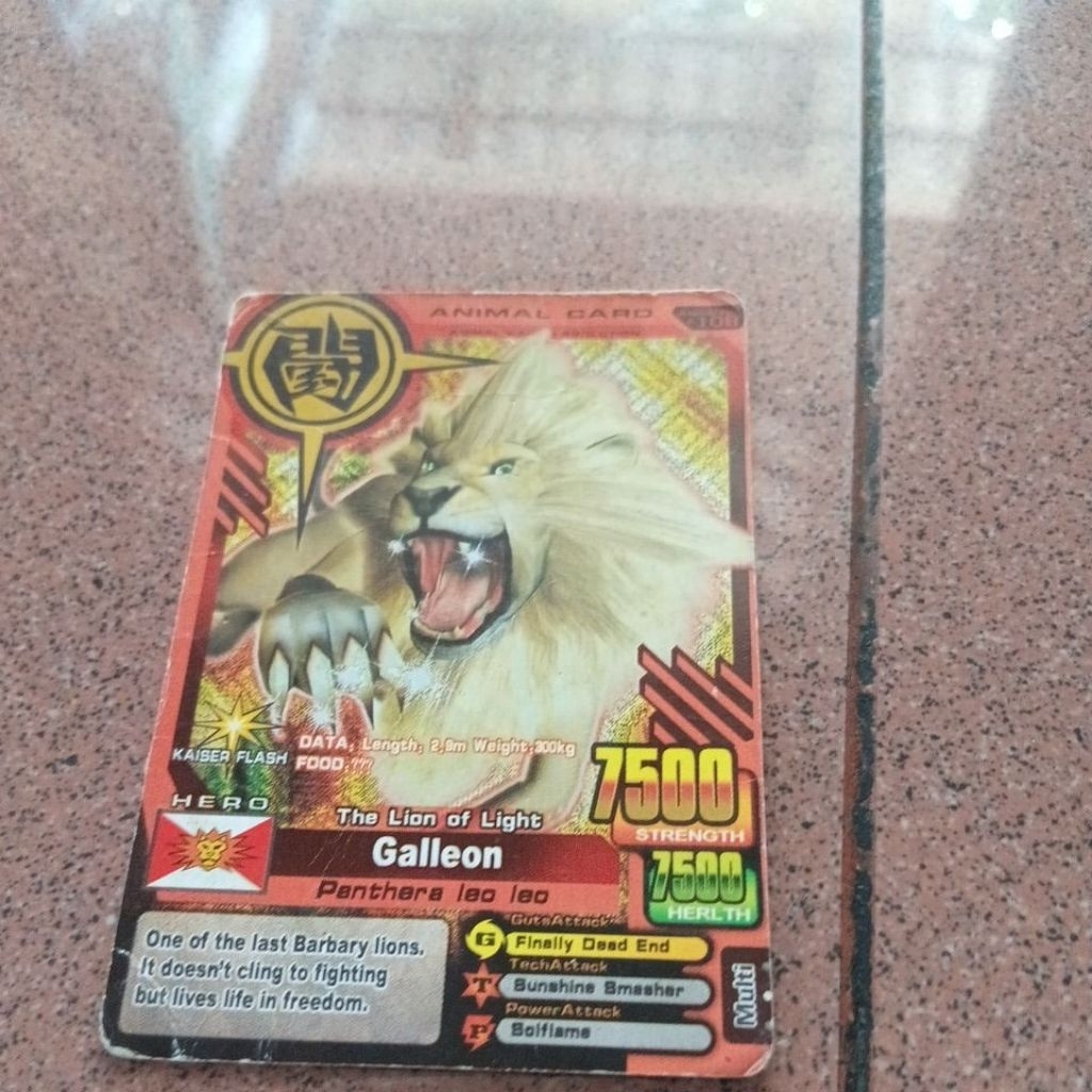 kartu animal kaiser galleon
