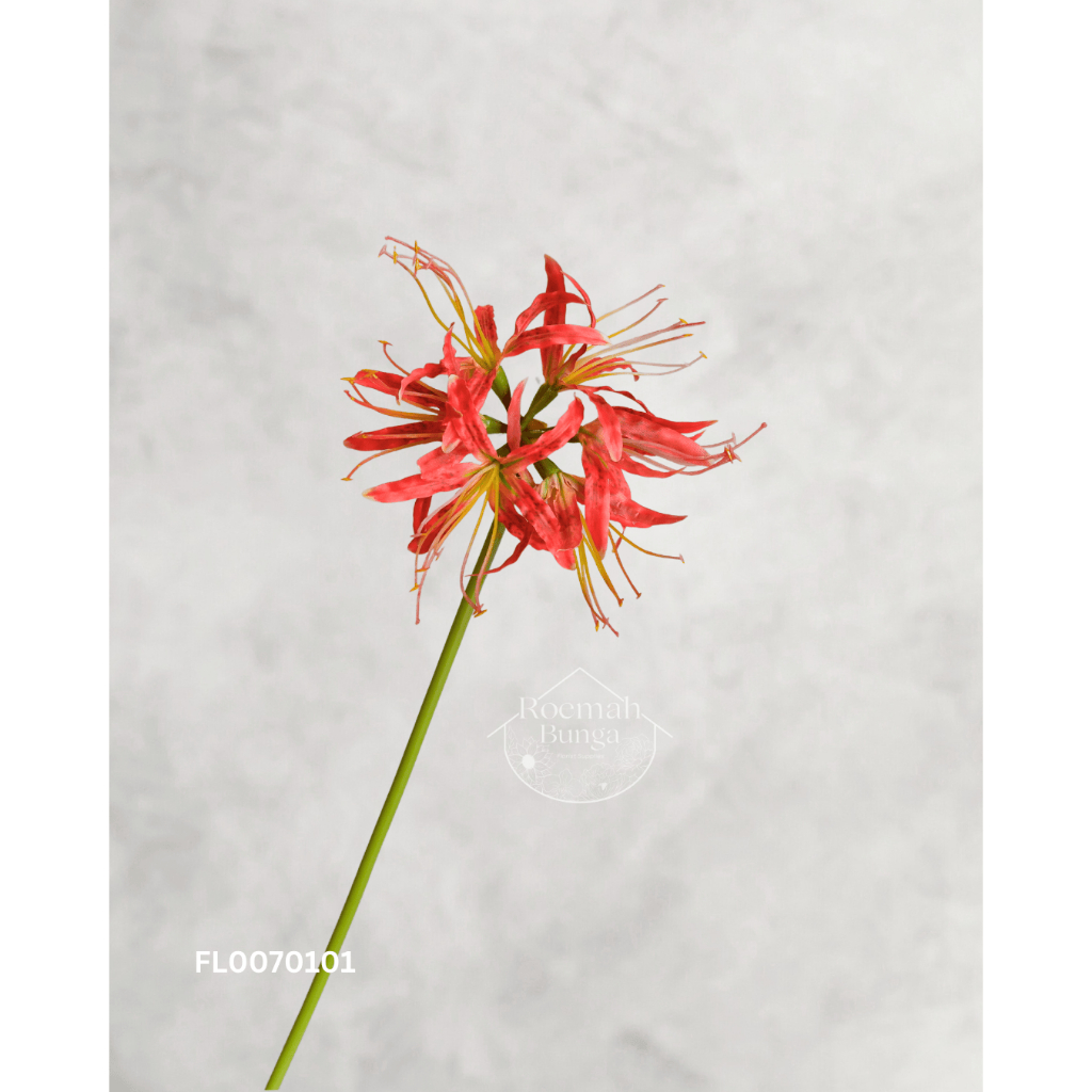Spider Lily Artificial Real Touch / Bunga Artifisial Premium [FL007]