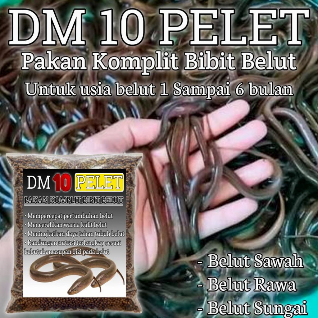 Pelet pakan budidaya belut ternak isi 250 gram DM 10