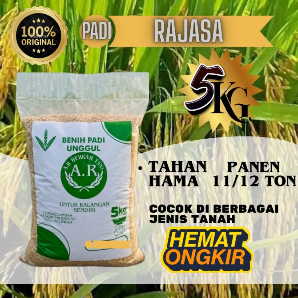RAJASA 01 BIBIT PADI UNGGUL BENIH PADI BERKUALITAS PREMIUM KEMASAN 5KG