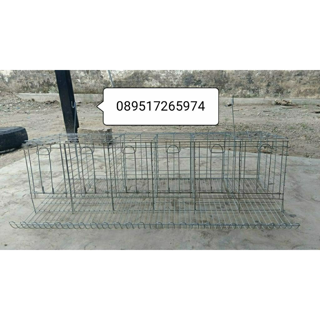 kandang ayam petelur (baterai galvanis) pintu 6 isi 6 ekor
