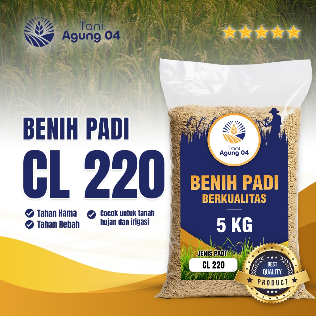 Benih Padi Bibit Padi CL 220 Kualitas Original Kemasan 5 Kilo