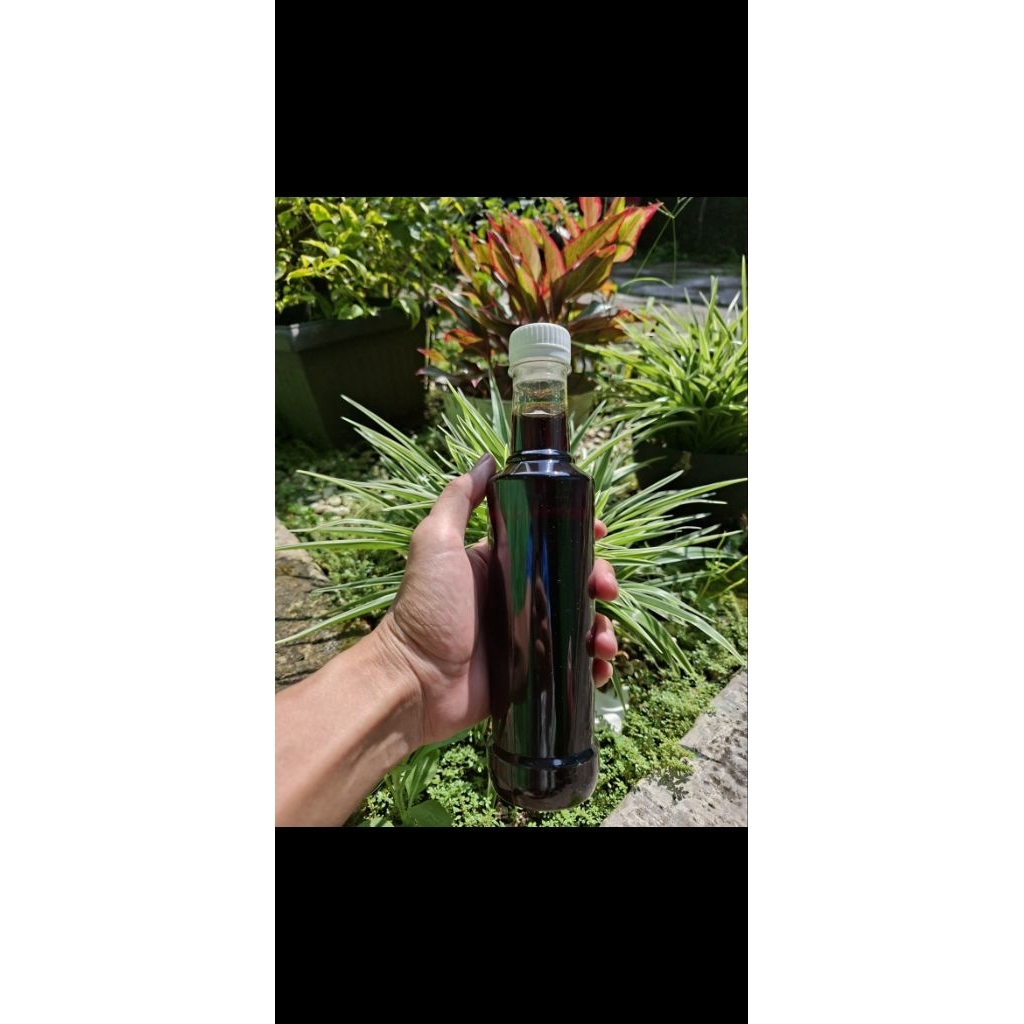 Madu Akasia Jambi