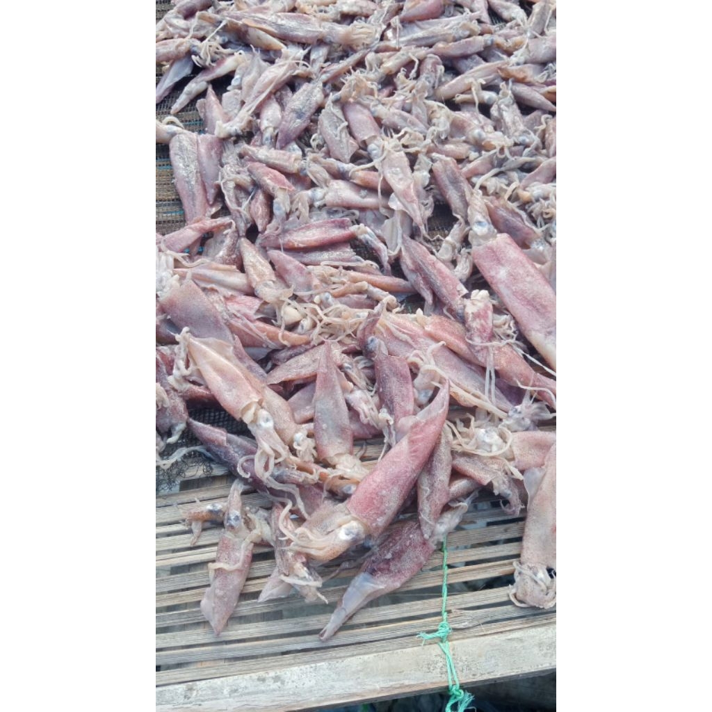 Cumi Asin Kering 1 kg