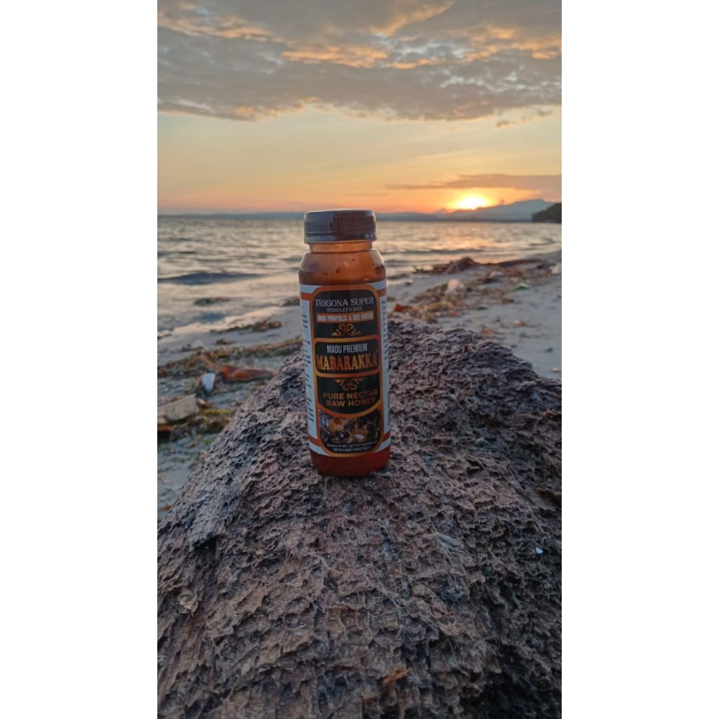 madu trigona mabarakka