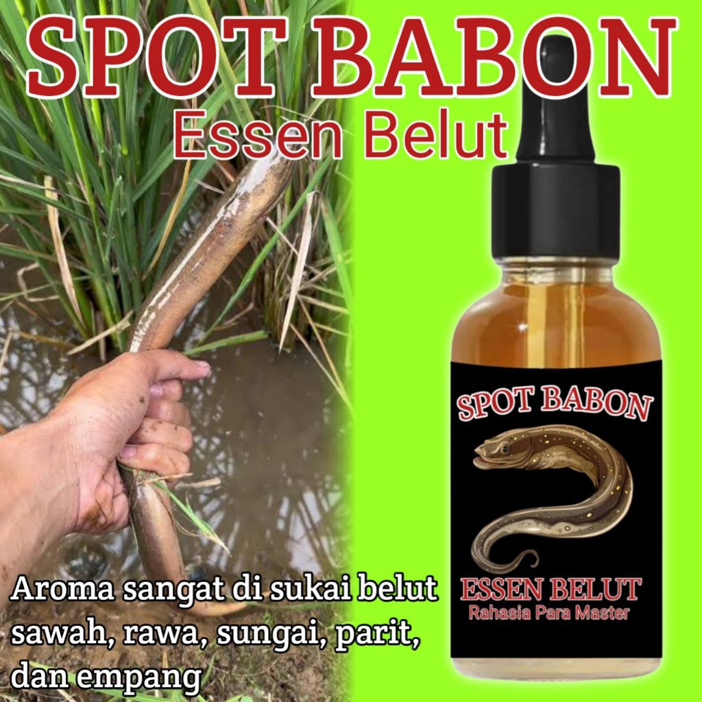 Ngurek belut segala spot Essen spot Babon umpan pancing belut
