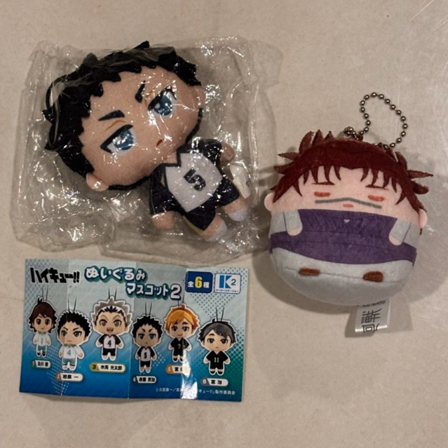 Nuigurumi Akaashi & Tenorinzo Choso