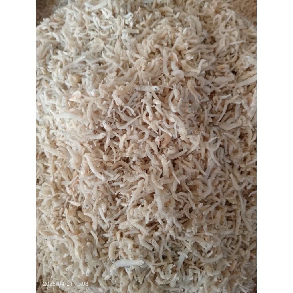 Teri Medan (teri nasi) super