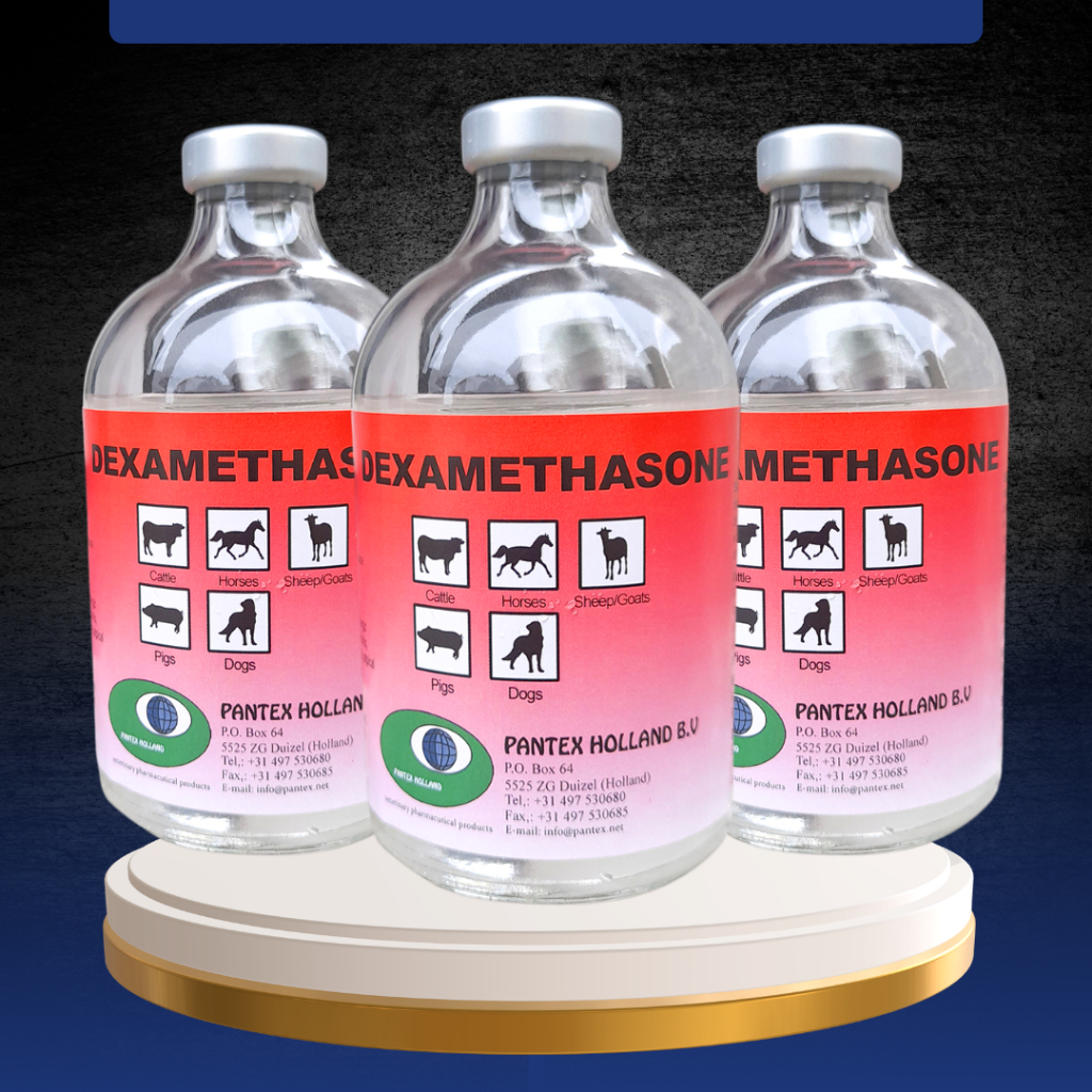 Obat Anti Radang dan Alergi untuk Hewan Ternak 100 ml Injeksi
