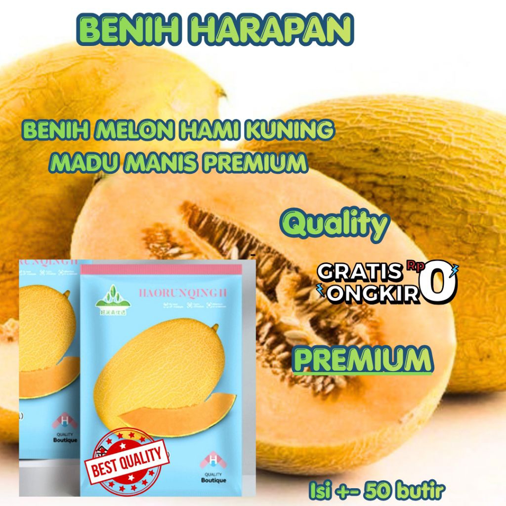 (+-50 butir) benih buah melon Hami madu manis/melon golden premium