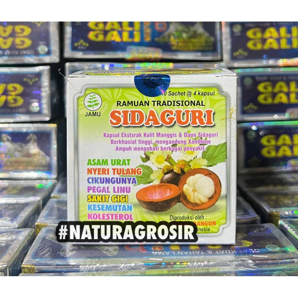 SIDAGURI KAPSUL ORIGINAL