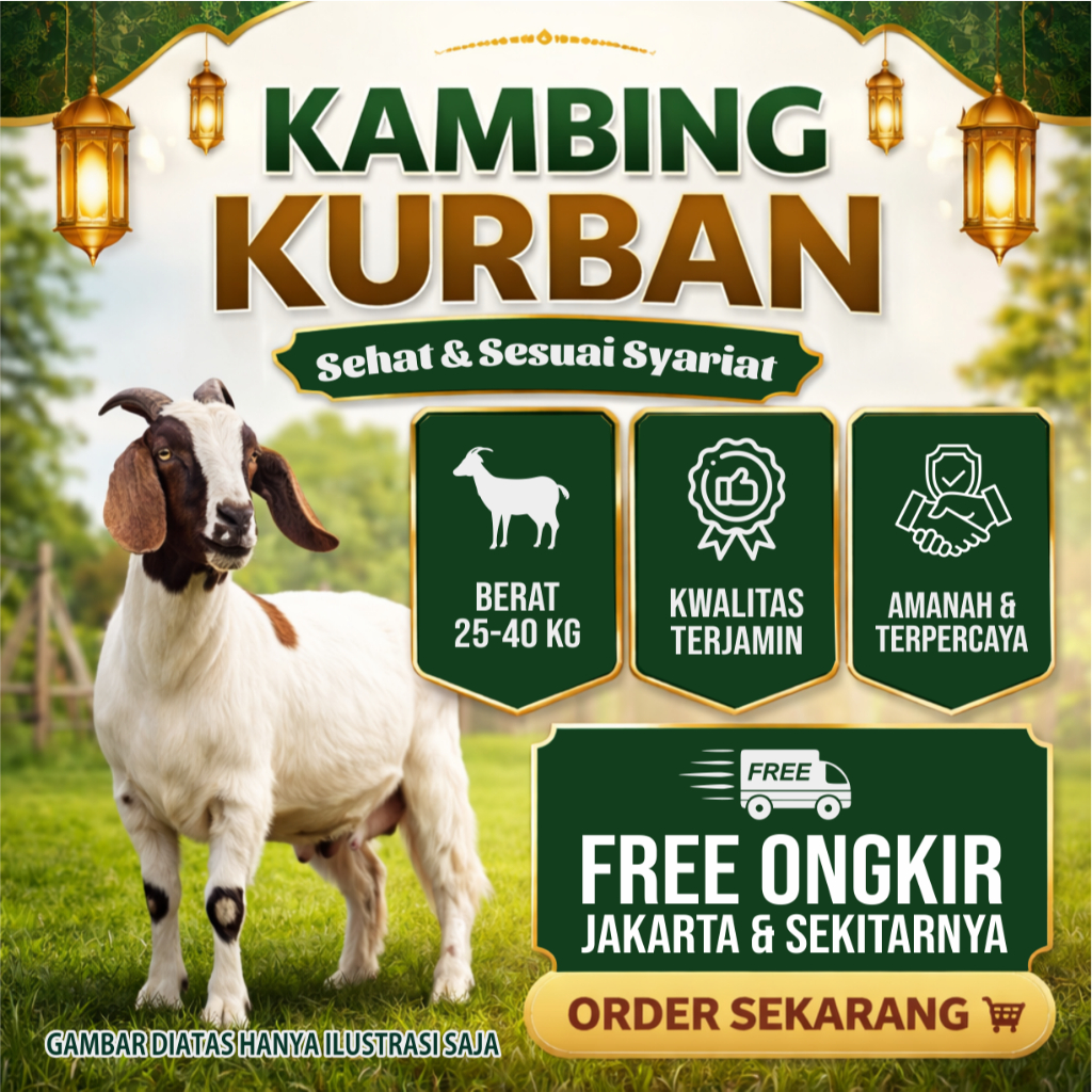 Kambing, Domba, Kambing Hidup, Domba Hidup, Kambing Kurban, Domba Kurban, Kambing Domba Kurban, Domb