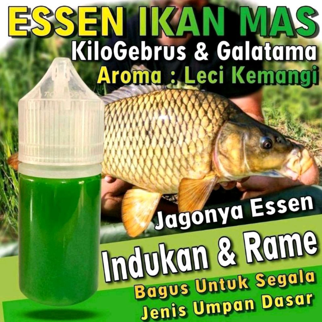 Essen Super Ikan Mas Aroma AMIS WANGI Leci Kemangi Paling Bagus Buat Galatama Ikan Mas Indukan Rame