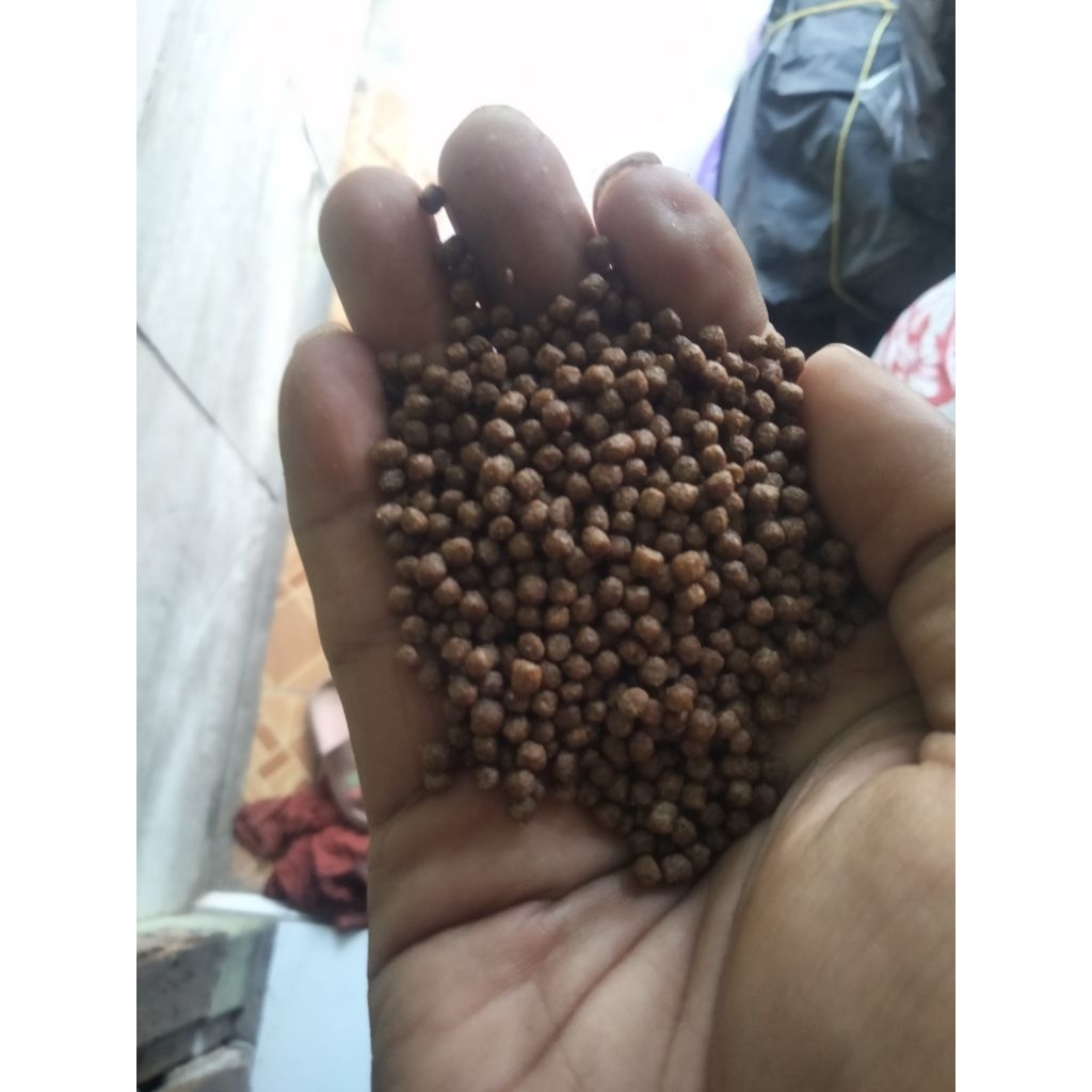 pakan ikan hi provit 781-2 1/2kg
