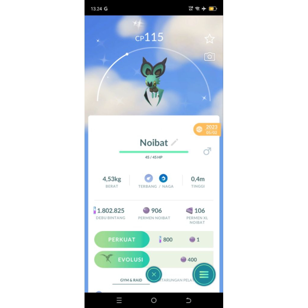 POKEMON GO - NOIBAT SHINY