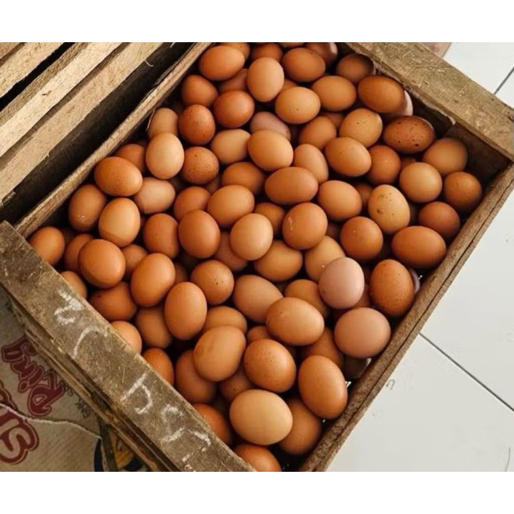 (PAITON SEKITARNYA ) Telur Ayam Negeri 1kg - Fresh, Tinggi Protein, Langsung dari Peternakan