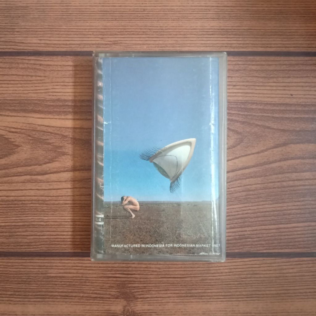 Kaset THE CRANBERRIES Bury The Hatchet