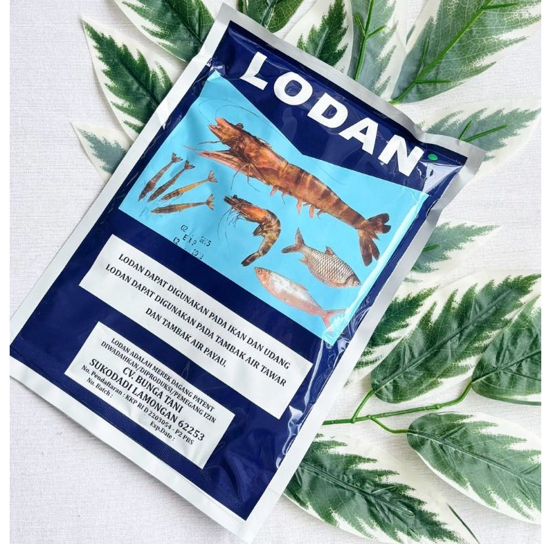 LODAN 500 GR