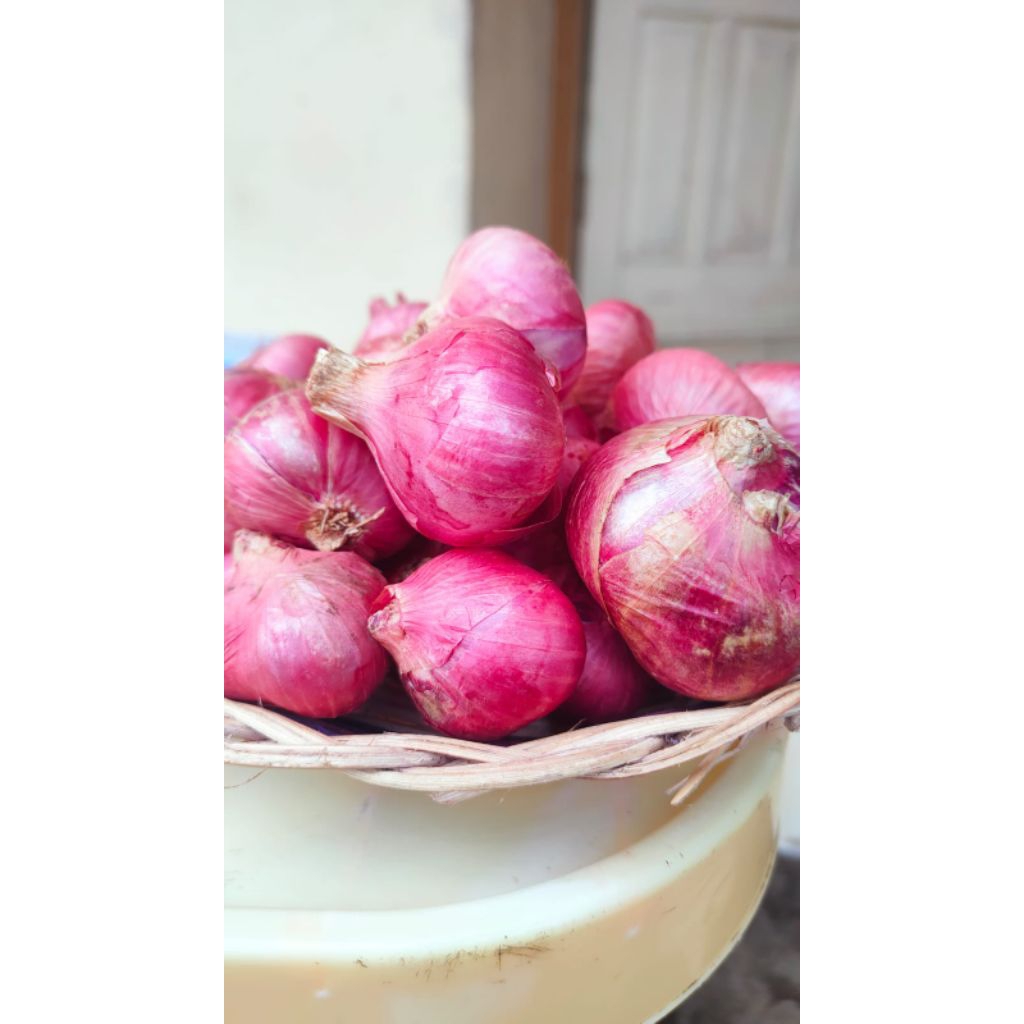 bawang merah super / bawang merah besar jumbo / bawang merah babob