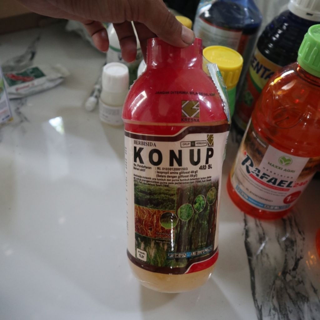 HERBISIDA KONUP, HERBISIDA SISTEMIK