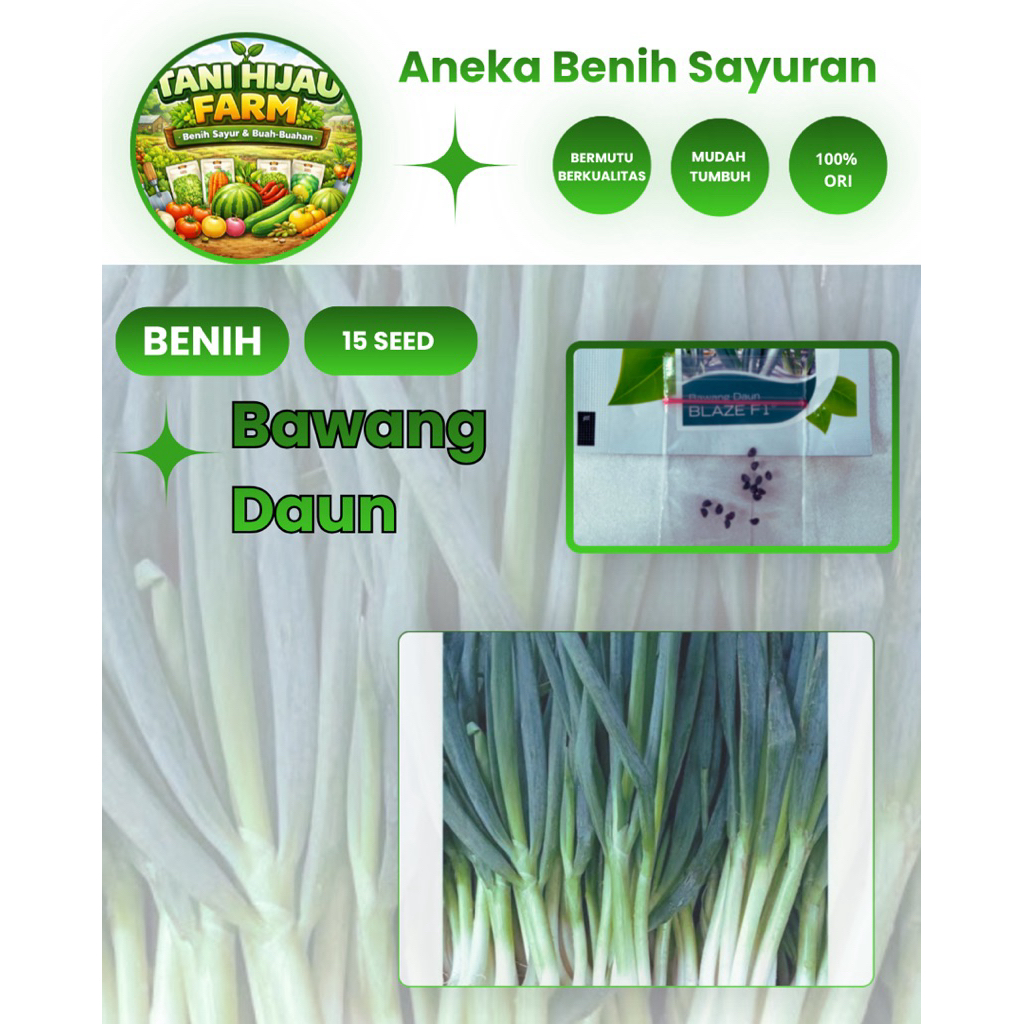 Benih Biji Daun Bawang | Bawang Daun | Daun Bawang ( 15 Butir )