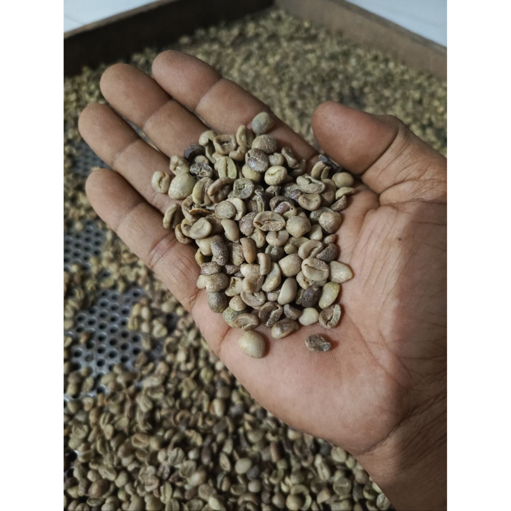 Green Bean Arabika Natural klasik Argopuro Asalan 1kg - Biji kopi Arabika Natural asalan