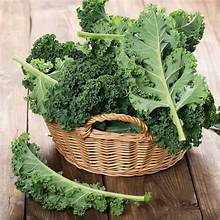 Sayur kale segar, sayur kale hijau, sayur kale lokal