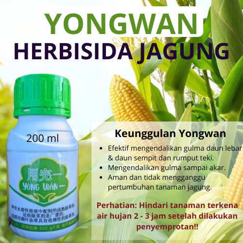 Yongwan - Yong Wan Herbisida Sistemik Racun Rumput Ampuh Basmi Rumput Liar dan Gulma Pada Tanaman Ja
