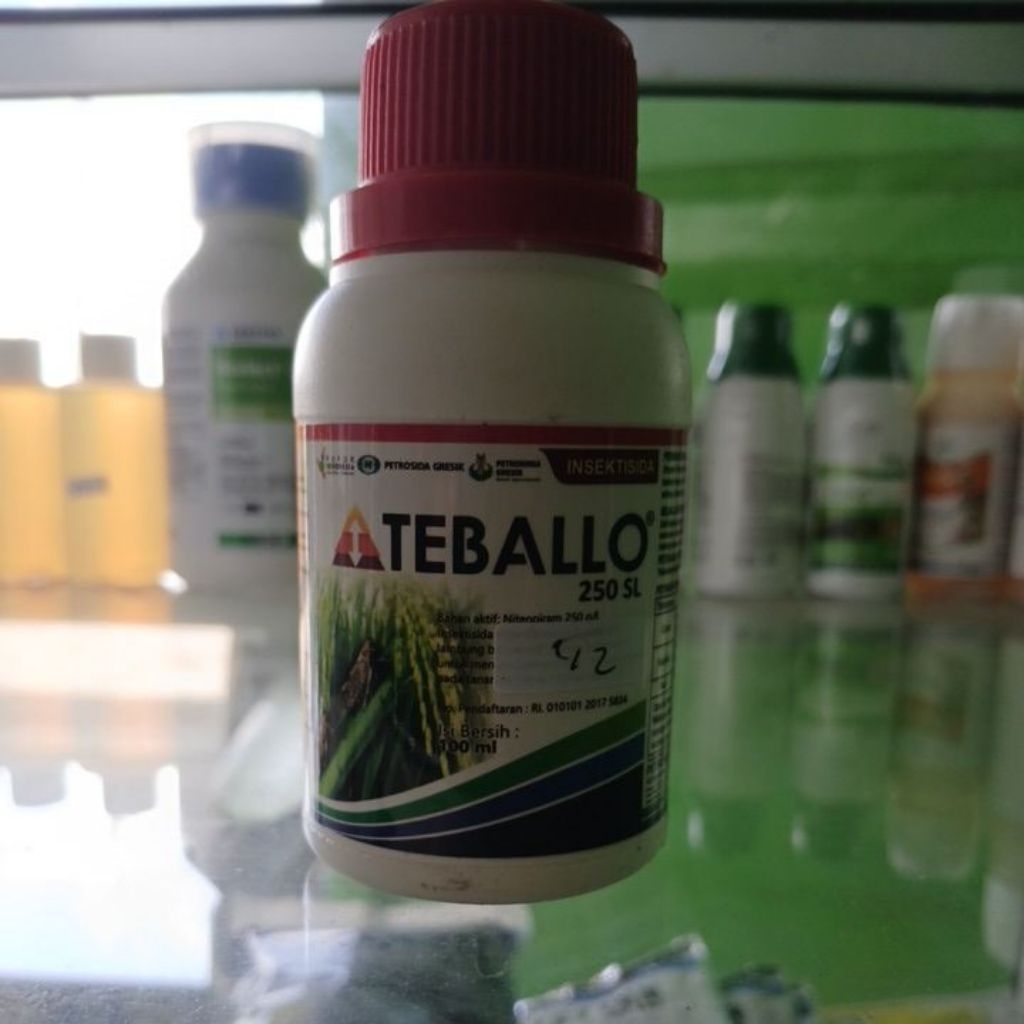 teballo 100ml