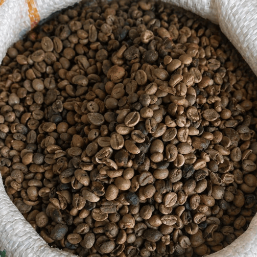 Biji Kopi Robusta Pilihan Fresh Roasting Aroma Kuat Rasa Bold