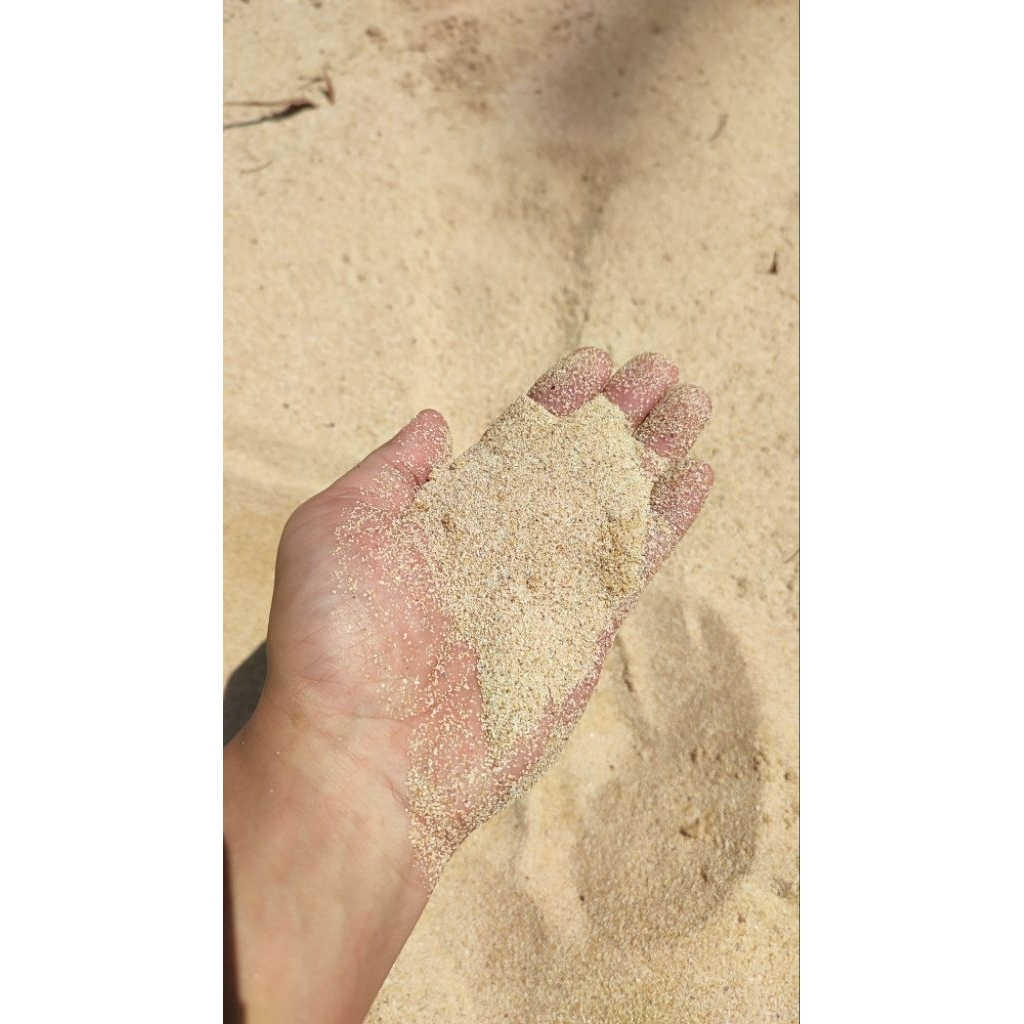 pasir laut premium 1kg harga 2500 rupiah