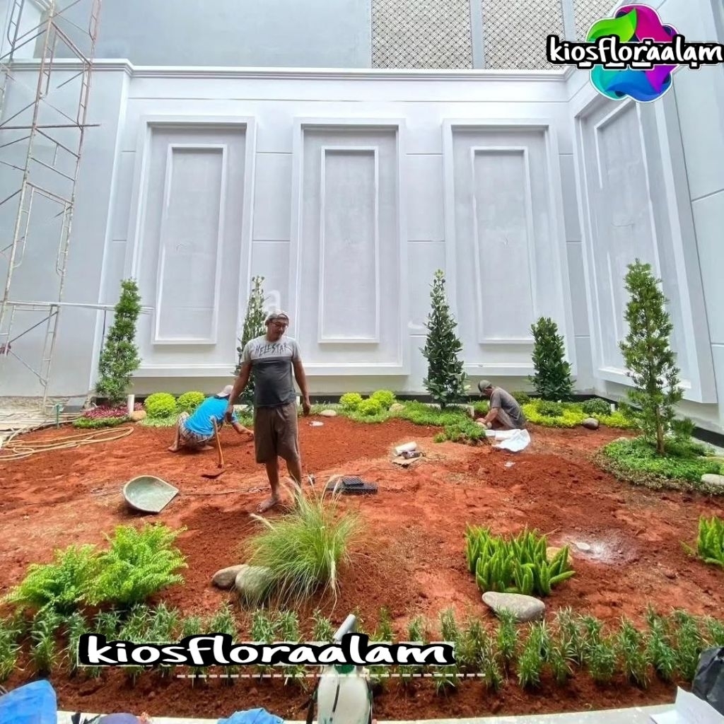 Taman dalam rumah / pembuatan dekorasi taman / taman minimalis / taman vertikal garden / taman tropi