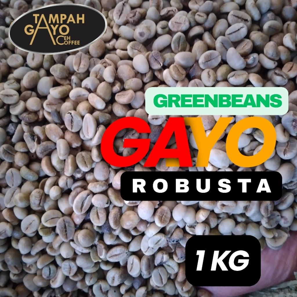 greenbeans kopi robusta gayo aceh 1kg tampah gayo aceh coffee