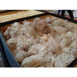 Getah Damar mata kucing (Gum Damar)