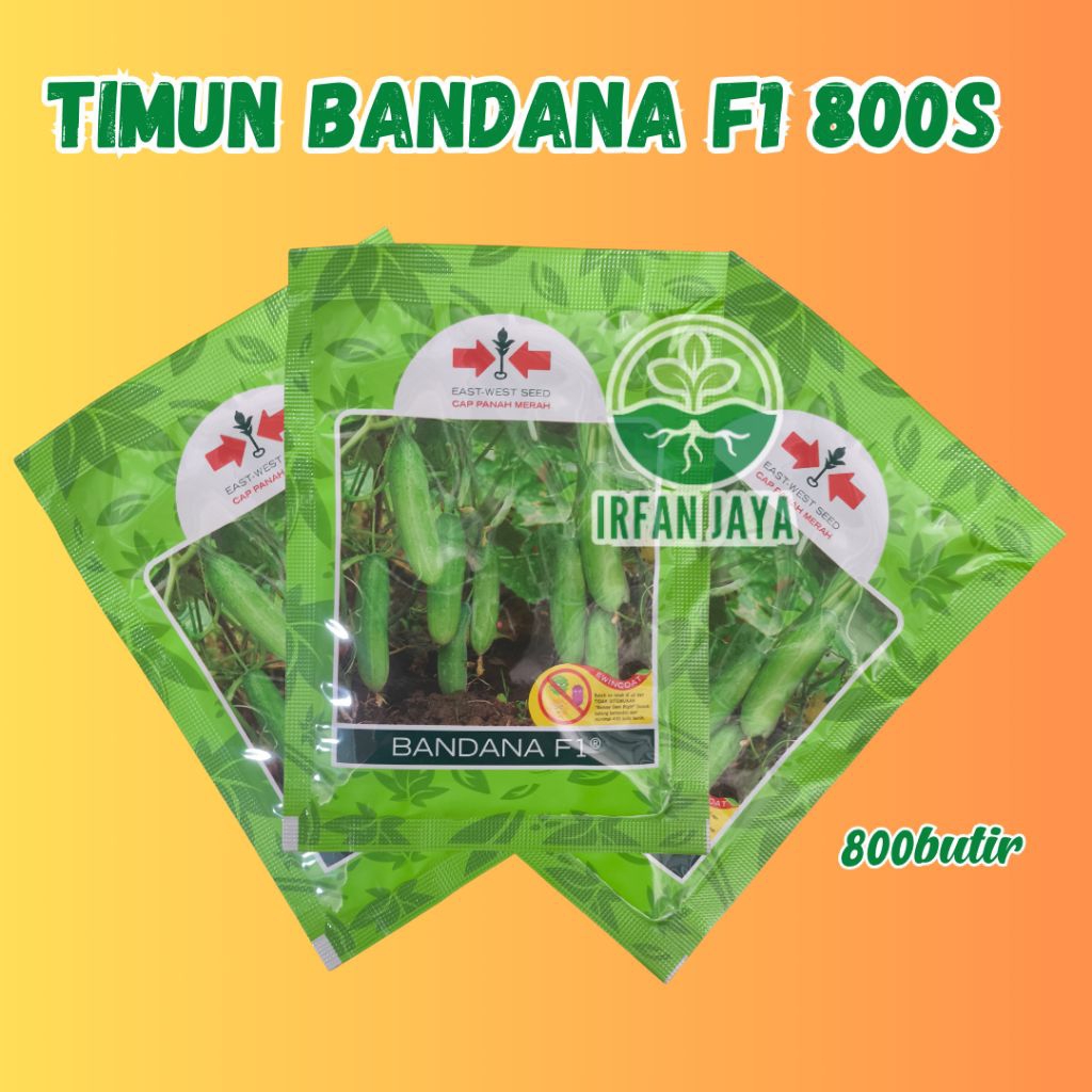 BENIH TIMUN BANDANA 800S PANAH MERAH ORIGINAL - BENIH TIMUN LALAP