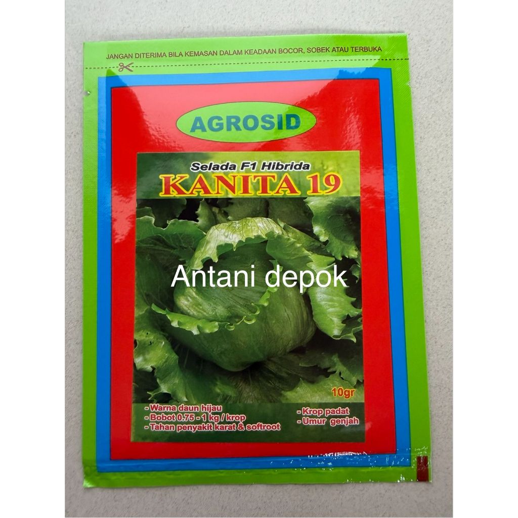 Benih Selada Bulat KANITA 19 10GR Head Lettuce AGROSID