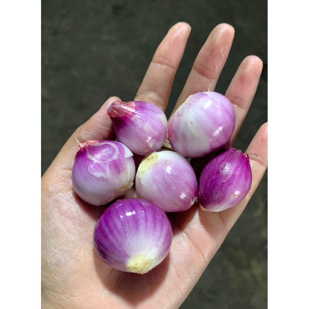 Bawang Merah 1 Kg Temanggung Jumbo Sedang