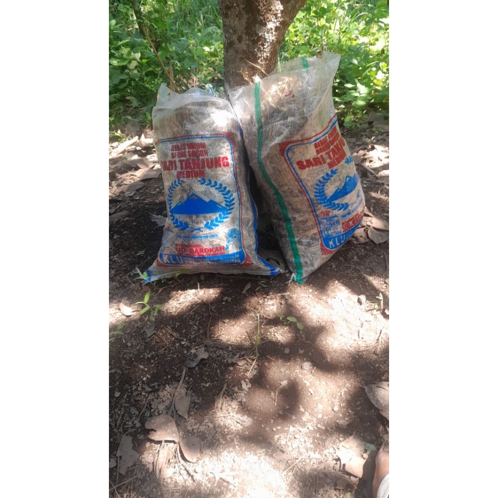 kompos daun bambu