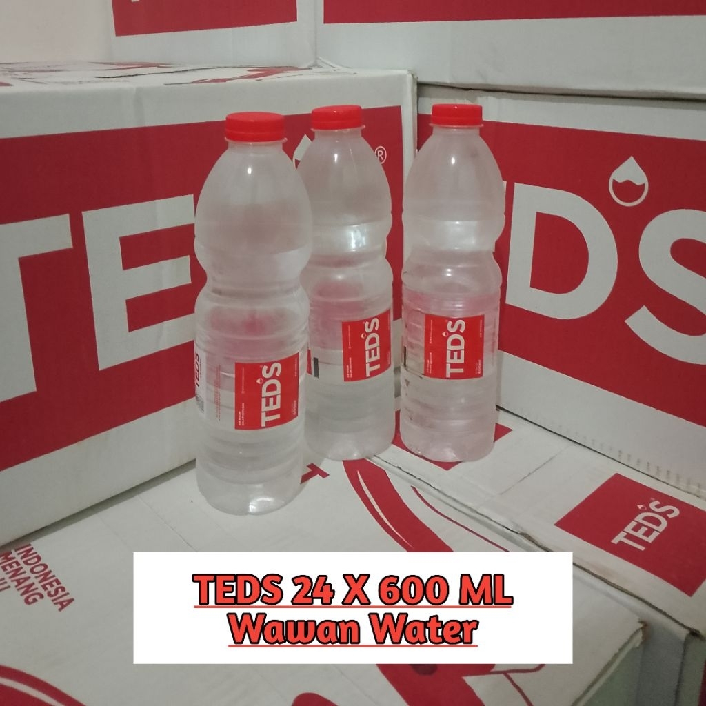 TEDS Air mineral 600 ML X 24