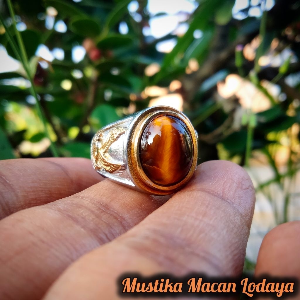 Cincin Macan Lodaya By Yudi Lmp