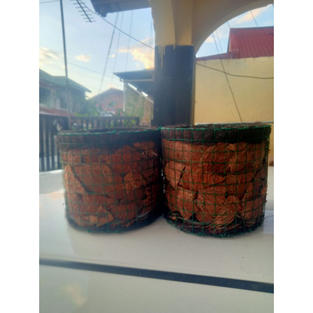 Pot Tanaman Unik Estetik