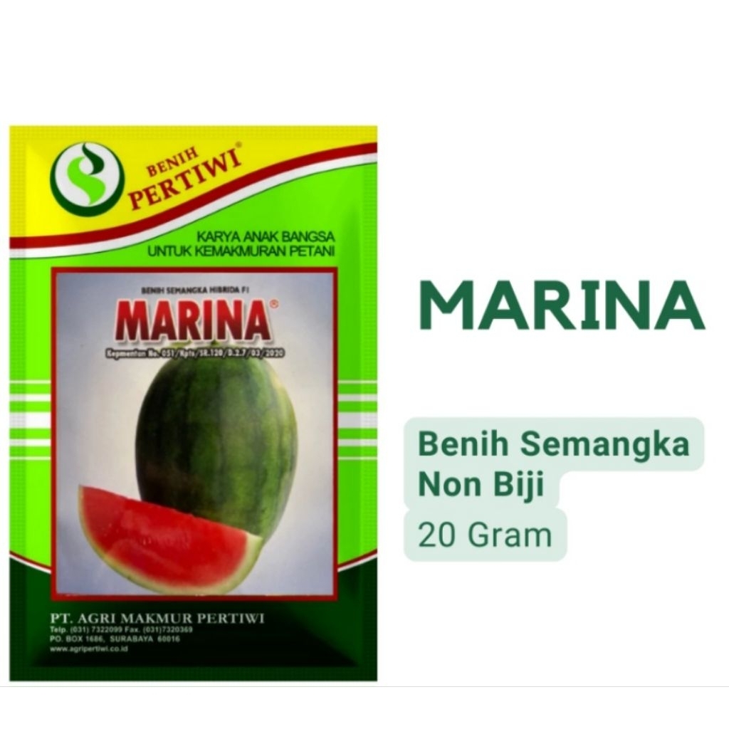 Benih Bibit Semangka Non Biji Marina F1