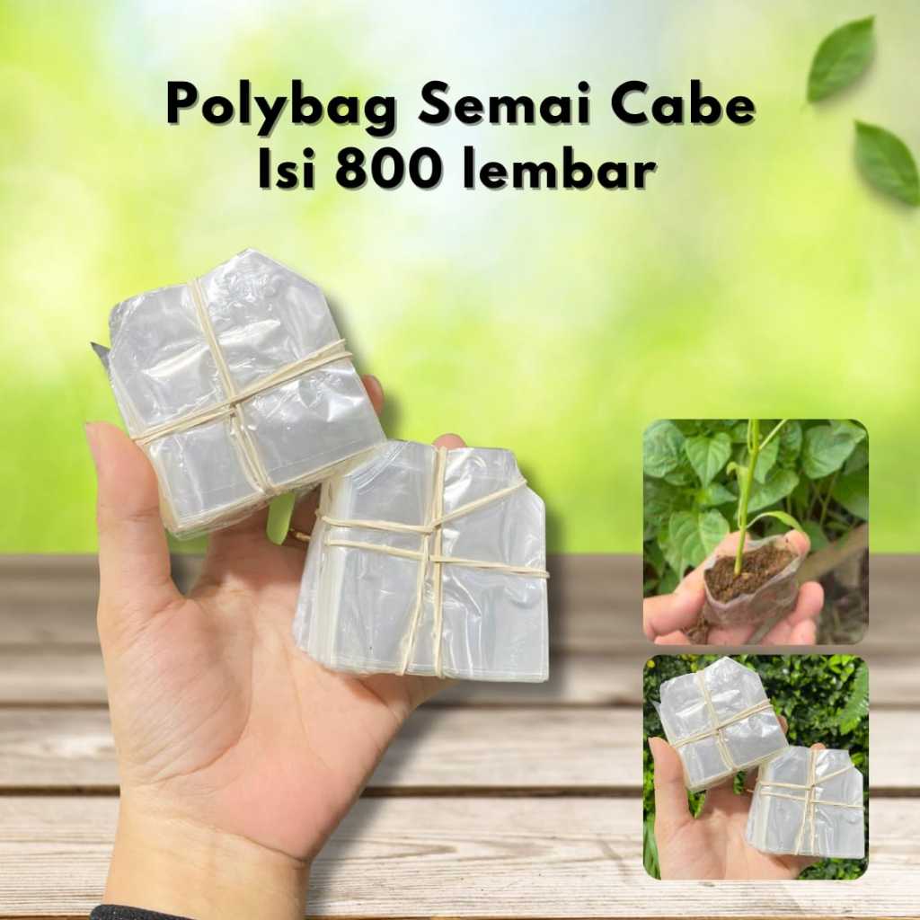 Isi 1000 Pcs Polybag Semai Cabe-Polybag Semai Cabe Per Pack Isi 1000 Lembar-Semai Cabe Ukuran 6 x 6.