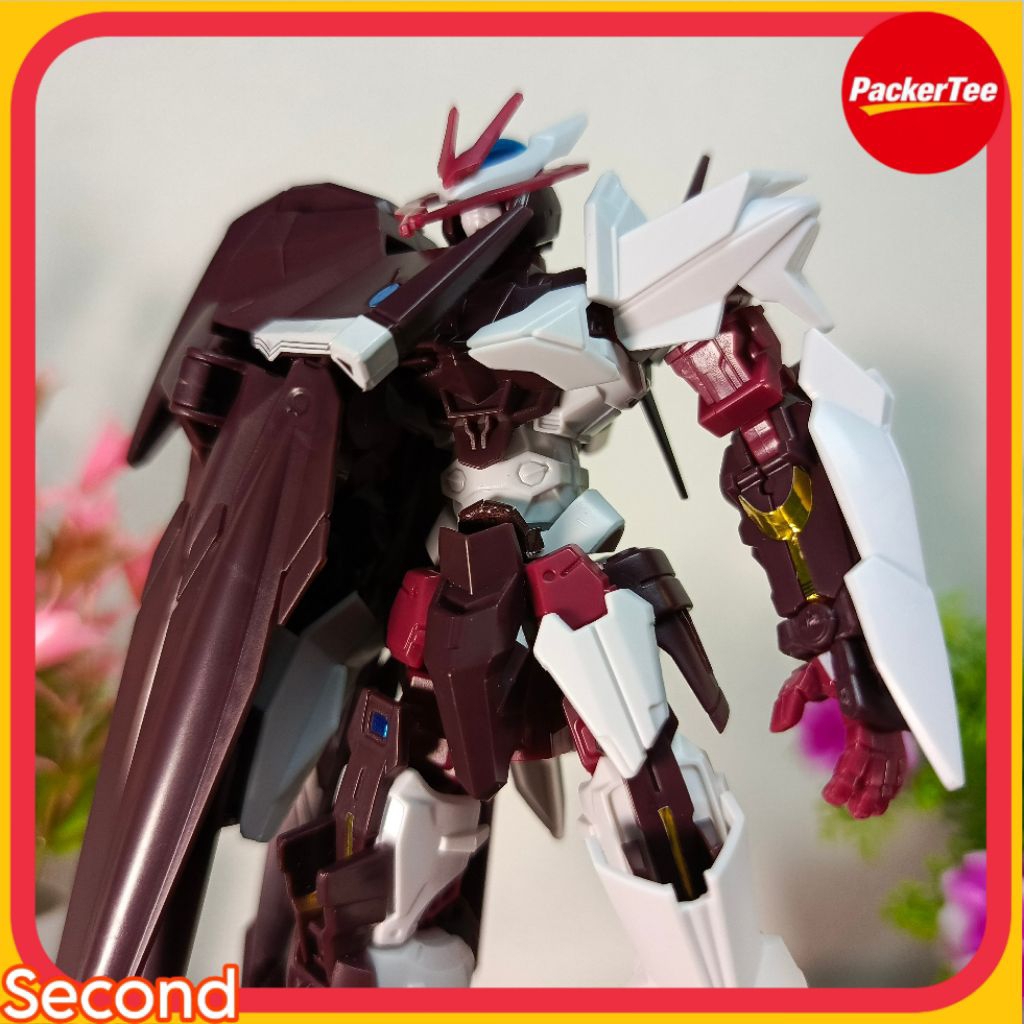 Gunpla "Astray No-Name" HG 1/144 "Tiger Model" Second