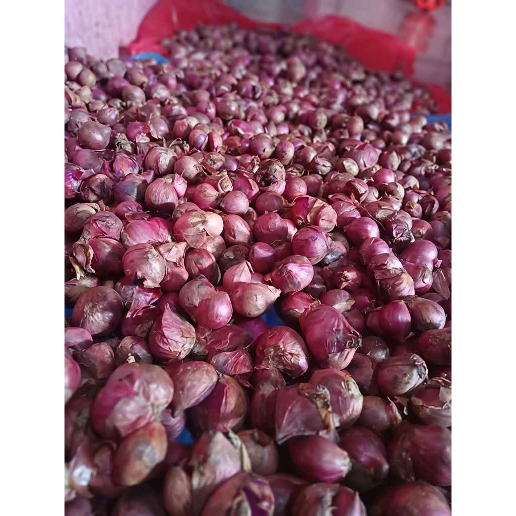 Bawang Merah Lokal Bawang Merah Murah Kering Ukuran Besar Super