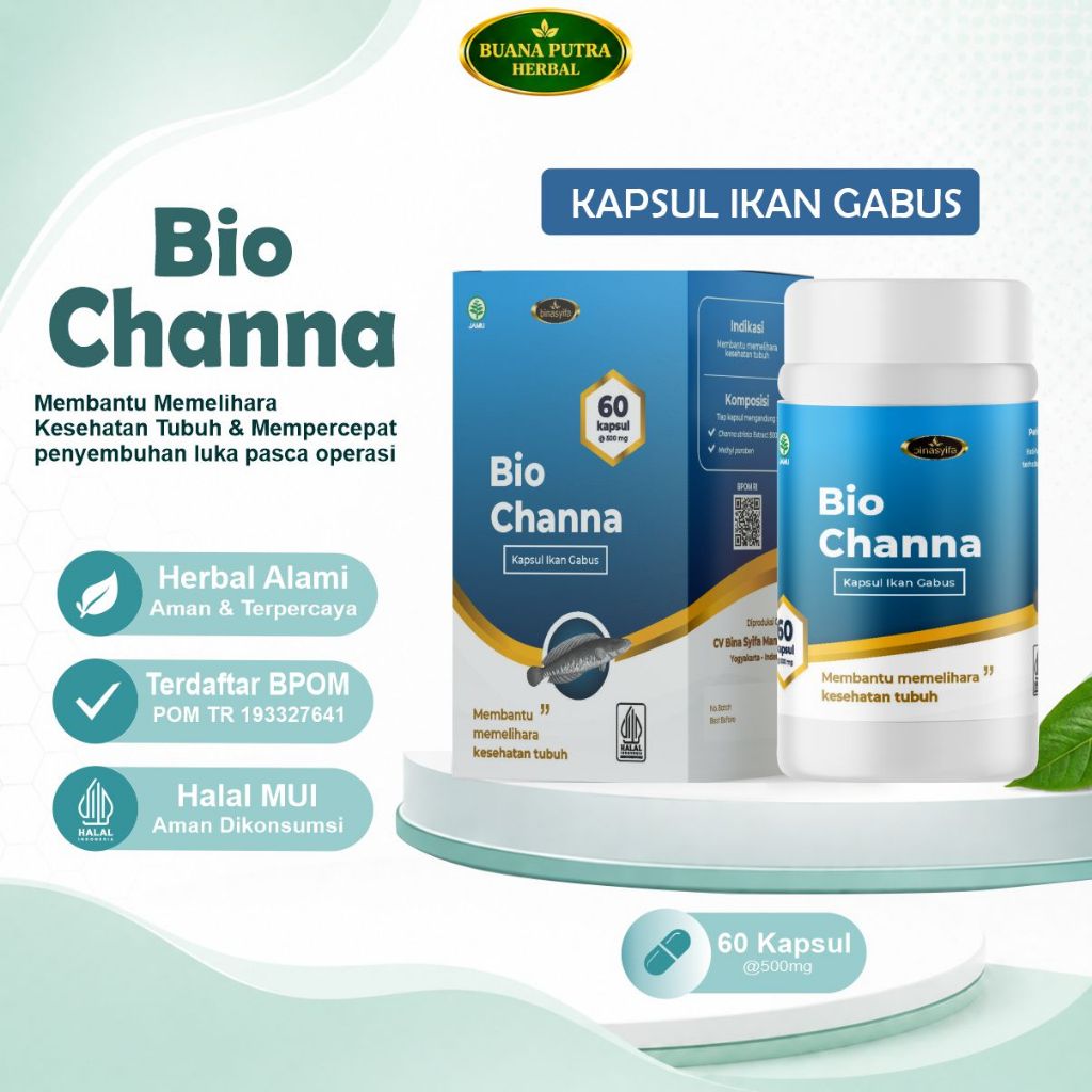 Kapsul Ikan Gabus BioChanna – Ekstrak Ikan Gabus Premium Sumber Albumin