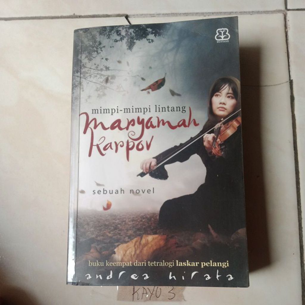 buku mimpi-mimpi lintang maryamah karpov