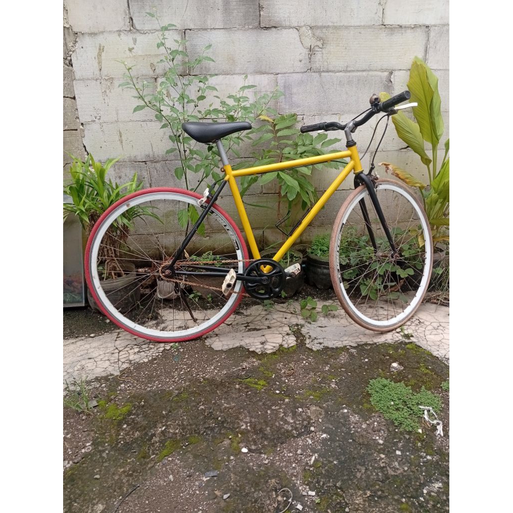 soloist 01