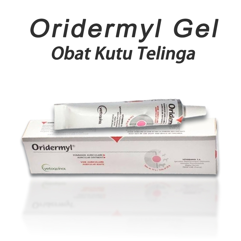 COD Oridermyl Salep Otitis Obat Telinga 10 gram Hewan Anjing Kucing