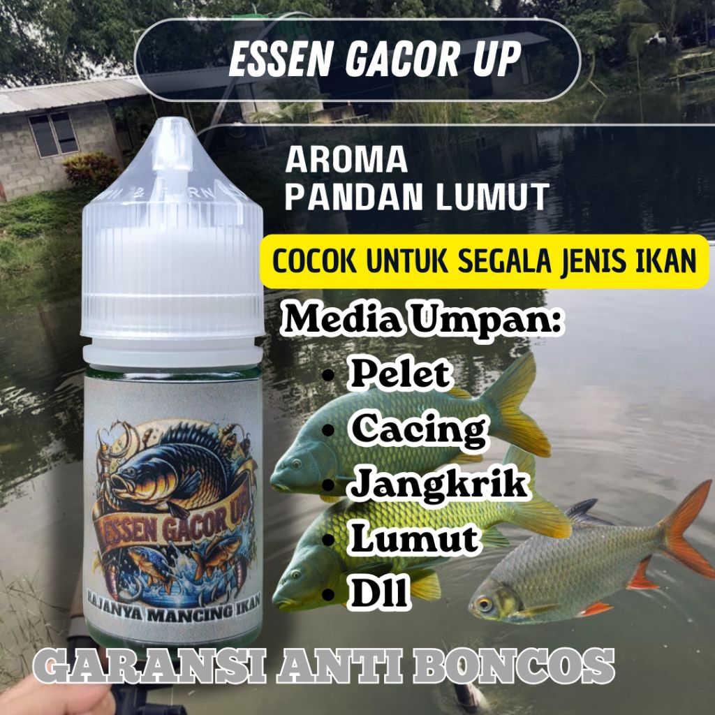 ESSEN GACOR UP AROMA PANDAN LUMUT PRENIUM 100 % pemikat ikan Mas super Nila Mujair mujaer  lele supe
